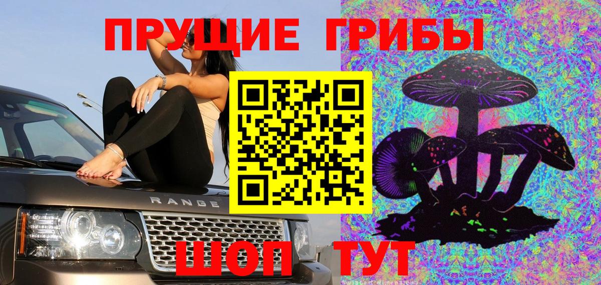 Братск  Псилоцибиновые грибы MAGIC MUSHROOMS  Вход с VPN  Псилоцибиновые грибы Cubensis 