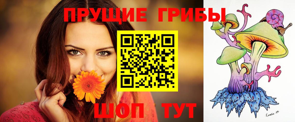 Галлюциногенные грибы мицелий Братск